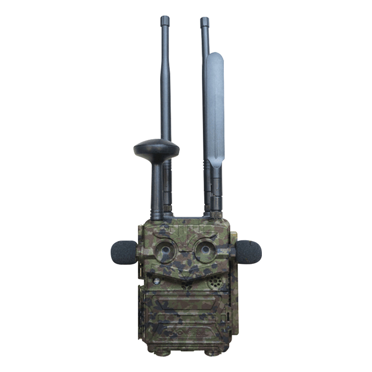 鸟类声纹记录仪在线版